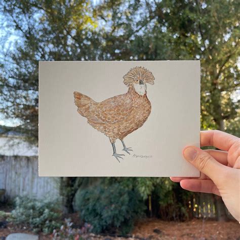 Polish Chicken Original Watercolor Painting In 2022 Original