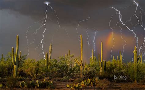Saguaro Lightning 1920 X 1200 45839 Kb