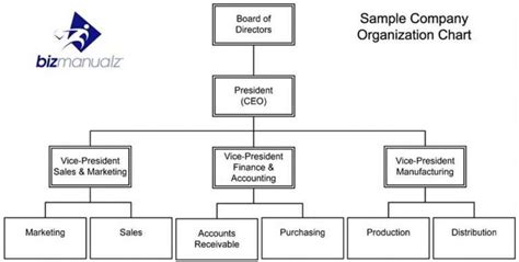 Accounting Department Organization Chart What It Is And Why You Need It