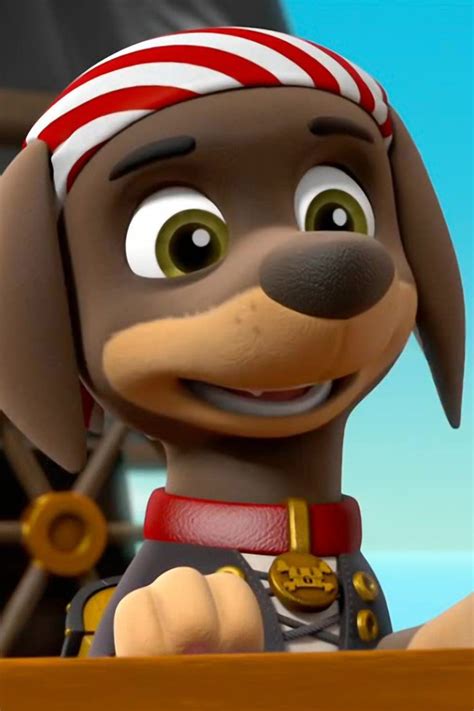 Sea Patrol Pups Save The Pirated Sea Patroller Pictures Rotten Tomatoes