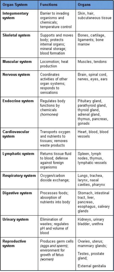 This overview of the organs in the body can help people understand how various organs and organ systems work together. xkgfs.com | Human body systems projects, Body systems ...