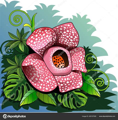 Detail Gambar Sketsa Bunga Rafflesia Koleksi Nomer 2