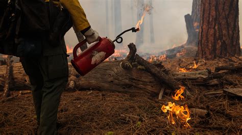 Why Climate Change Makes It Harder To Fight Fire With Fire The New