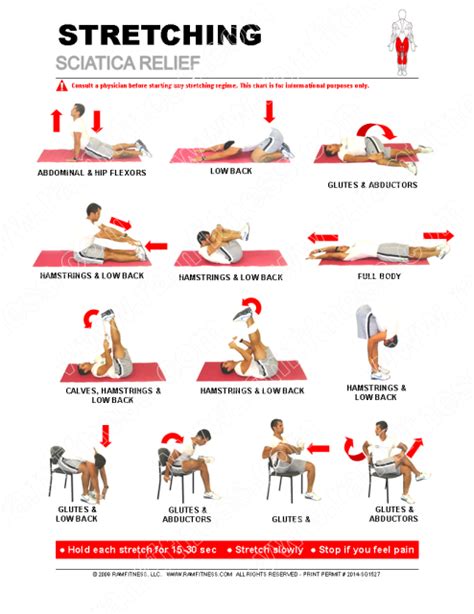 Stretching Guides 85 X 11 Sciatica Relief Sciatica Pain Relief