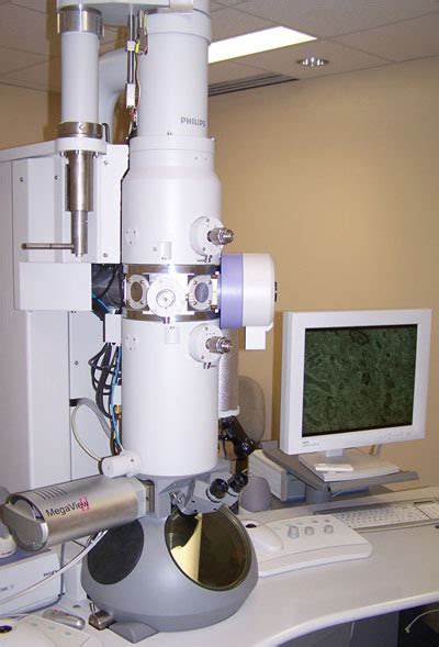 Transmission Electron Microscope Neurophotonics Centre