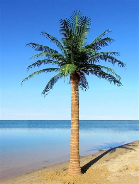 Image Of An Artificial Palm Tree Fake Palm Tree Artificial Palm Leaves