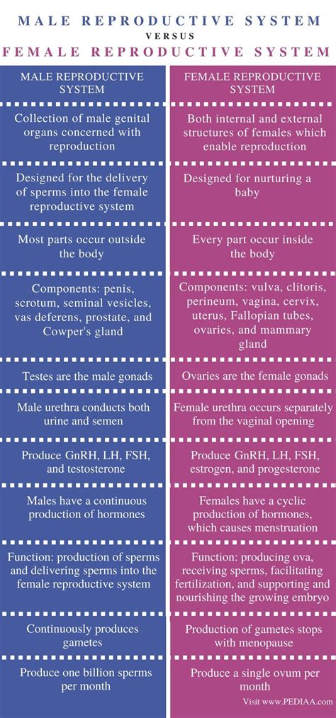 Difference Between Male And Female Reproductive System Comparison Summary Female