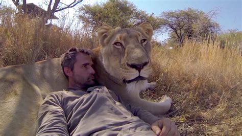 Lion Whisperer Gets Close With Big Cats In Viral Video Lions And