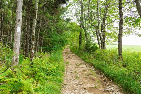 20 Must Do Hikes In New Hampshire Outdoor Project