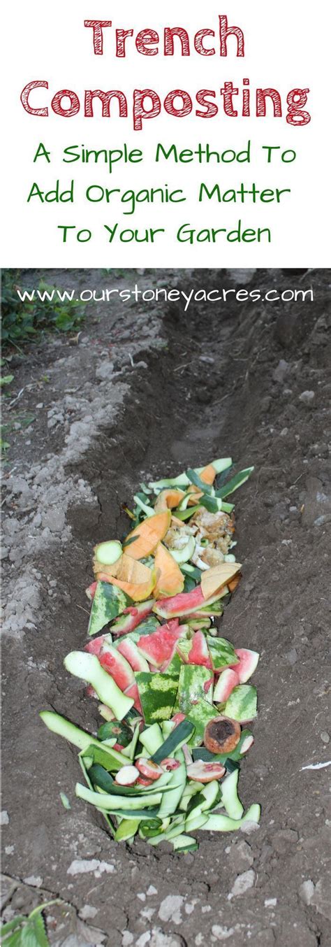 Trench Composting Is An Easy Way To Add Organic Material To Your
