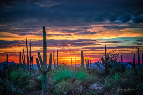 Tucson Sunset Arizona By Derek Burdeny On 500px Desert Sunset
