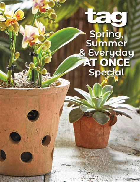 Tag Spring 2021 At Once Promo Catalog By Just Got 2 Have It Issuu