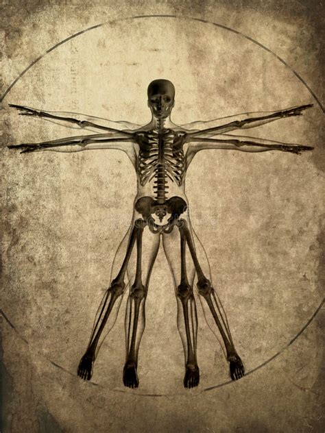 Grunge Skeleton In Suit Stock Illustration Illustration Of Death 9426878