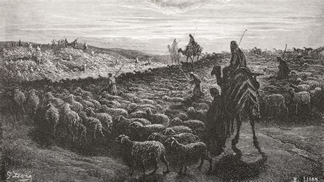 Domesticated Camels Came To Israel In 930 Bc Centuries Later Than