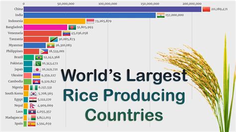 Top 20 Countries By Rice Production 1961 2018 Youtube