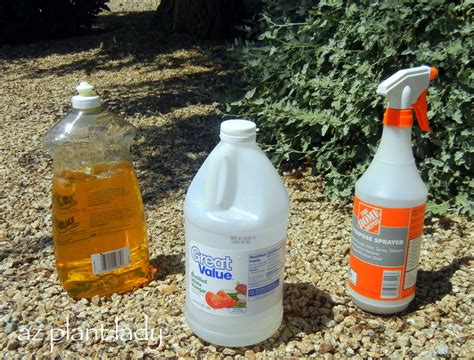 For larger areas there are propane tanks. DIY Weed-Killer: Vinegar & Soap - Ramblings from a Desert Garden