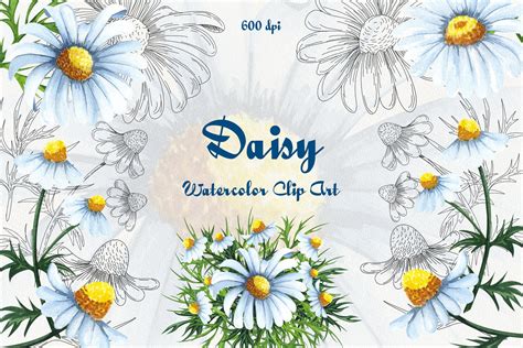Daisy Watercolor Clipart Design Cuts