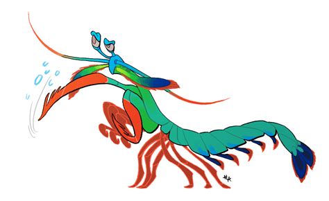 Mantis Shrimp Drawing Free Download On Clipartmag