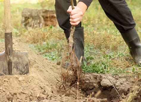 Maybe you would like to learn more about one of these? January Gardening Checklist for the Pacific Northwest ...