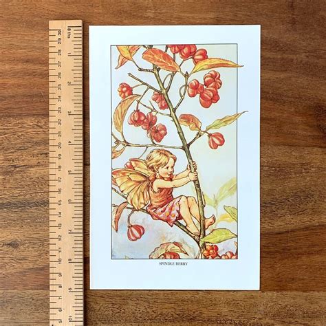 Large Spindle Berry Fairy Print Flower Fairies Of The Winter Etsy