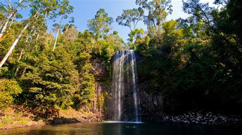 The Most Beautiful Waterfalls In Cairns