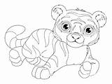 Coloring Tigers Simple Children sketch template