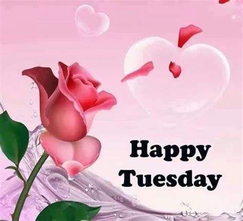 Happy Tuesday Rose And Heart Pictures Photos And Images For Facebook