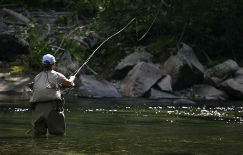 Fly Fishing Streamers An Angler S Guide Into Fly Fishing