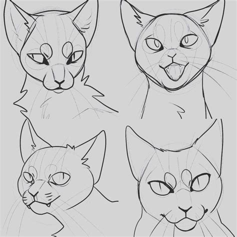 Pin By Sarah Rossi On Ltv Cat Face Drawing Cat Sketch Warrior Cat