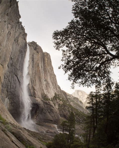 Upper Yosemite Falls Guided Hike In Yosemite National Park