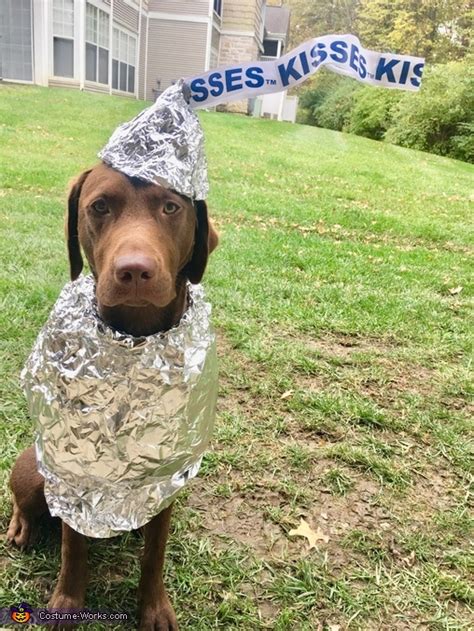 33 Halloween Costumes For Your Pets In 2021