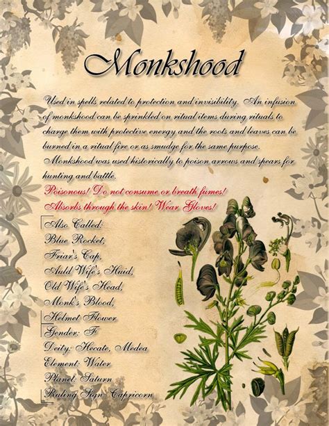 Book Of Shadows Herb Grimoire Monkshood By Conigma On Deviantart