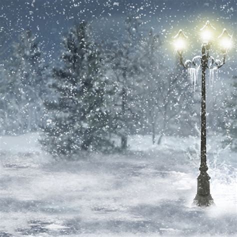 Fashion Christmas Photography Backdrops Attractive Winter Street Lamp