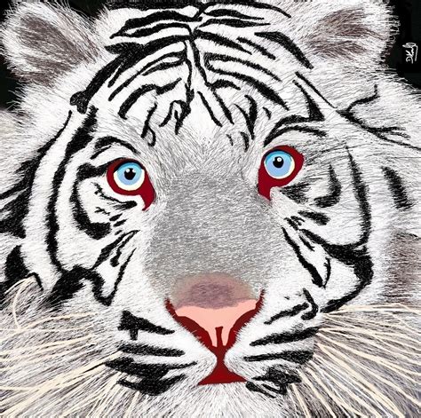 Tigre De Bengala Paint 80 X 80 X 5cm 2014 Tigre De Bengala