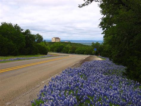 Burnet Bluebonnets Meadow Wallpapers Wallpaper Cave