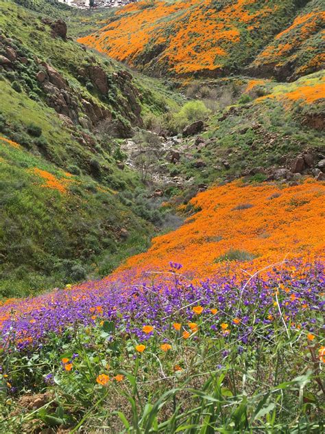 Jan. 24, 2022 – Are you working hard enough to make your dreams come