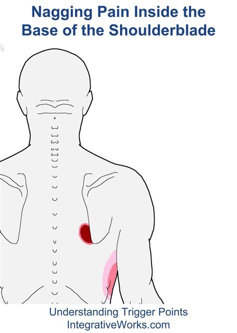 Have you had trouble breathing, because the diaphragm is under there as well as lungs, or maybe you just cracked a rib but don't take my word for it. Trigger Points - Nagging Pain Inside The Bottom of the ...