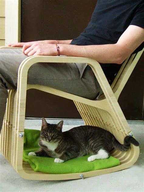 chair   rocking chair  dogcat house
