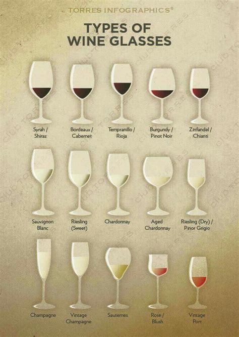 Types Of Wine Glasses Tiklokings