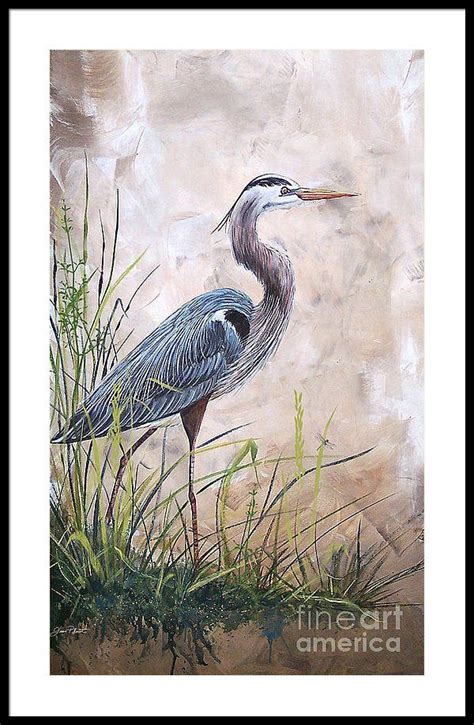 In The Reeds Blue Heron A Framed Print By Jean Plout Heron Art Art