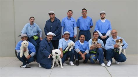 Shelter Dog Program At Salinas Valley State Prison Expanding Kion546