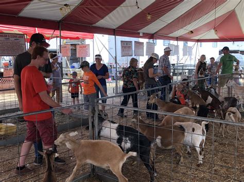 Farm Bureau Teams Up With Petting Zoo At Eastern Idaho Fair Idaho