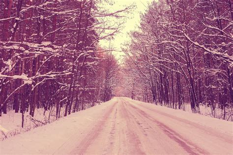 Winter Road In The Forest Stock Image Image Of Highway 61496893