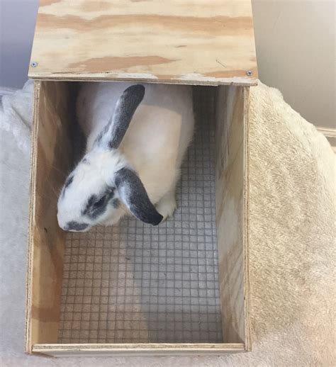 Rabbit Nesting Box Plans Only Medium To Large Rabbits Etsy