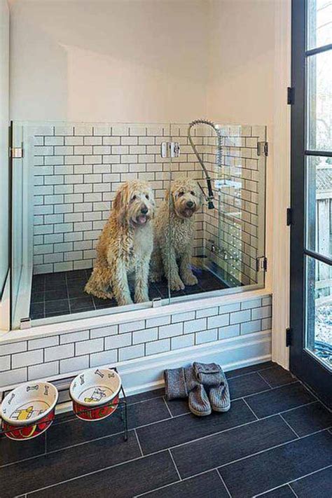 brilliant bathroom ideas   pet dog
