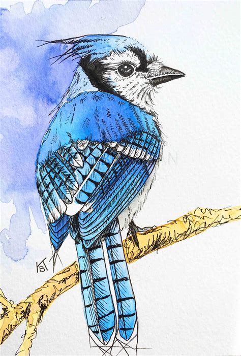 Watercolor Blue Jay / watercolor and pen / watercolor bird ...