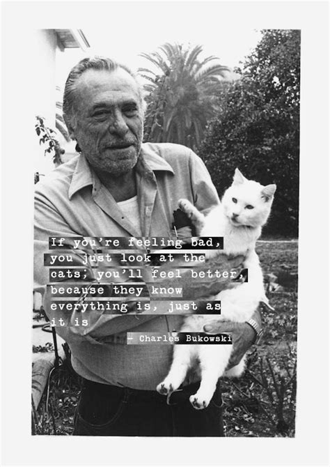 In Which I Continue To Write About Cats But Only Because Bukowski Did