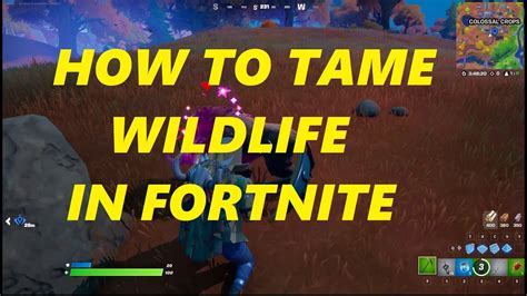 Fortnite Chapter 2 Season 6 How To Tame Wildlife Youtube