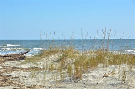 Hunting Island Beach Photograph By Carol Bradley Pixels