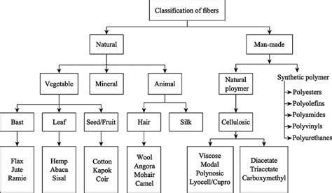 Classification Of Fibers Download Scientific Diagram